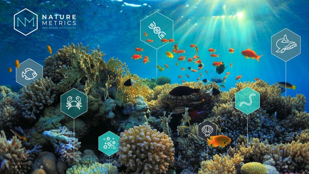Vibrant photo of a coral reef, annotated with illustrations depicting the eDNA and rich biodiversity that can be analyzed through water sampling using the Nature Metrics platform